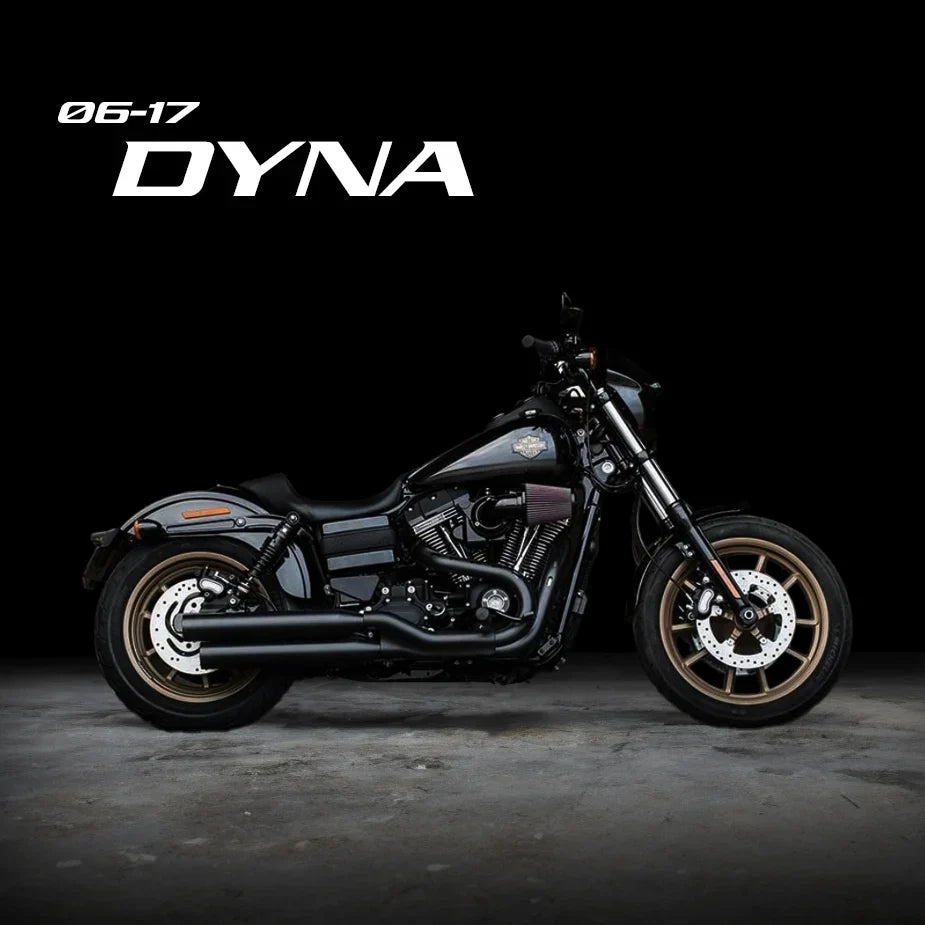 06-17 Dyna
