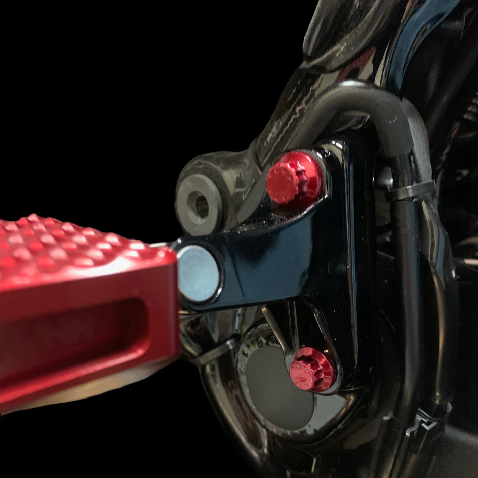 Bagger Passenger Peg ARP Bolt Kit