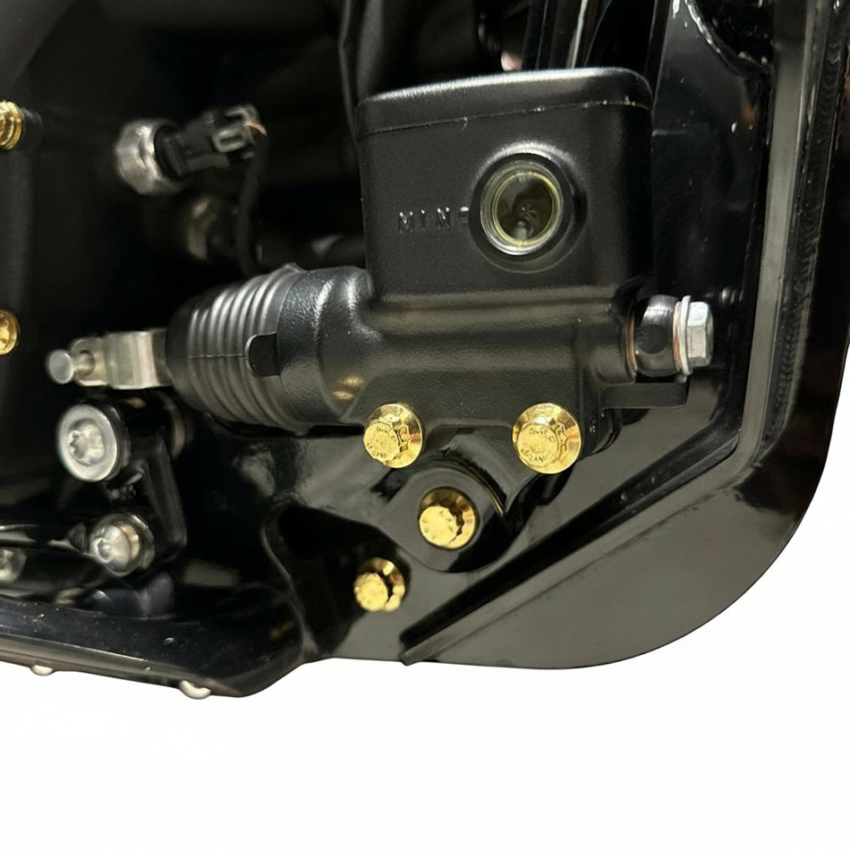 2020+ Softail Frame/Crash Bar Kit