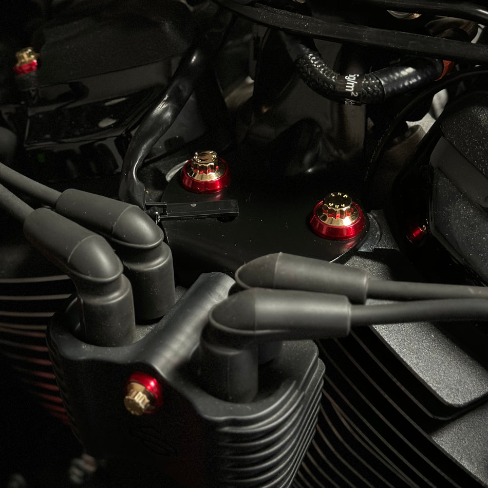 M8 Softail Mid Engine Mount ARP Kit